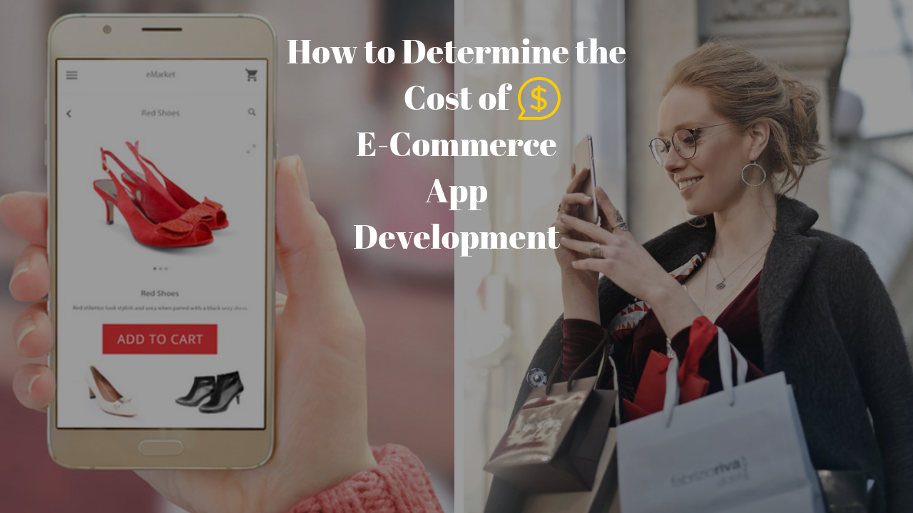 E-Commerce Mobile App Development Cost – Things You Need to Know